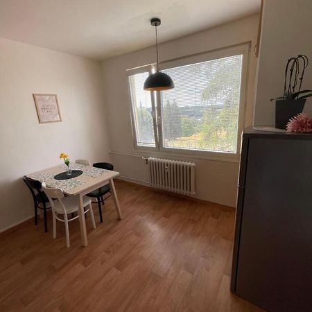 Klidny Byt Na Okraji Trutnova Apartment Екстериор снимка